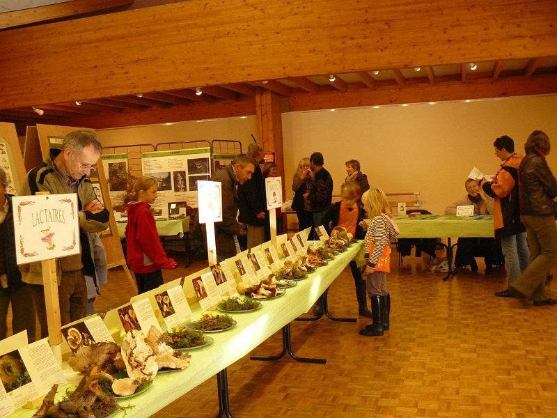 2009 10 Expo champignons de Clairefontaine 09